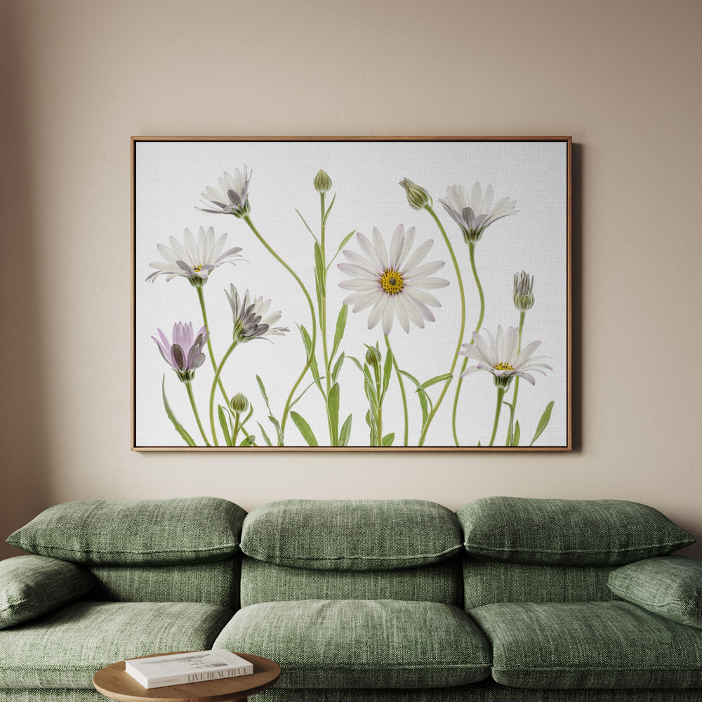 Canvastavla Cape Daisies - Tavla - 100x70