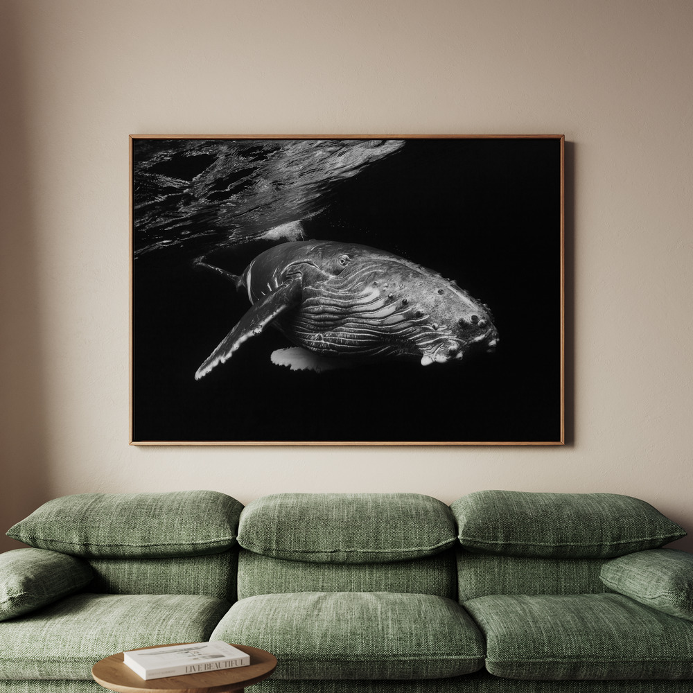 Canvastavla Humpback Whale calf - Tavla - 150x100