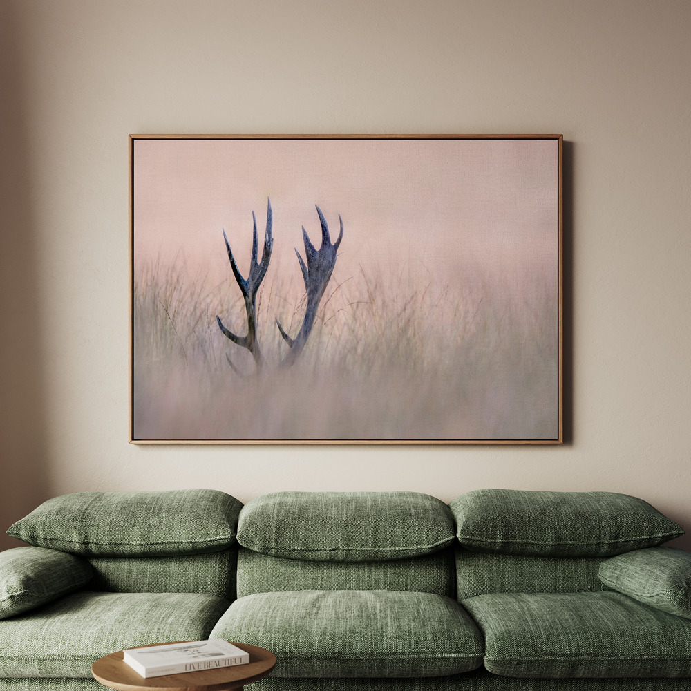 Canvastavla Hide & Seek ( Horn of Stag) - Tavla - 150x100