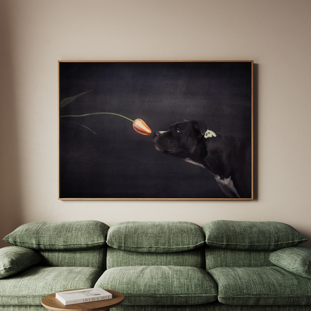 Canvastavla First approach - Hildegard and the tulip - Tavla - 70x50