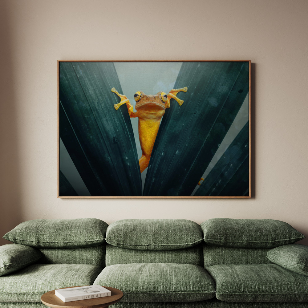 Canvastavla Gold Frog - Tavla - 150x100