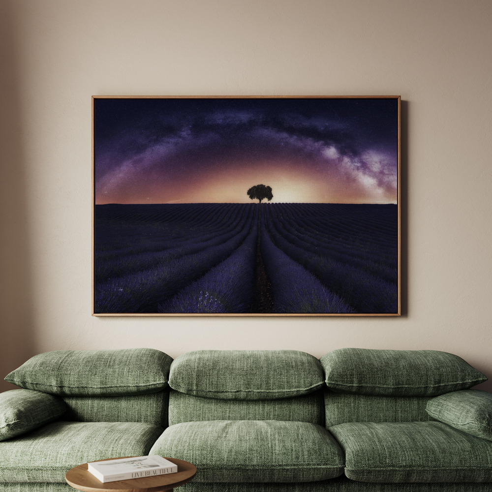Canvastavla My lavander - Tavla - 100x70