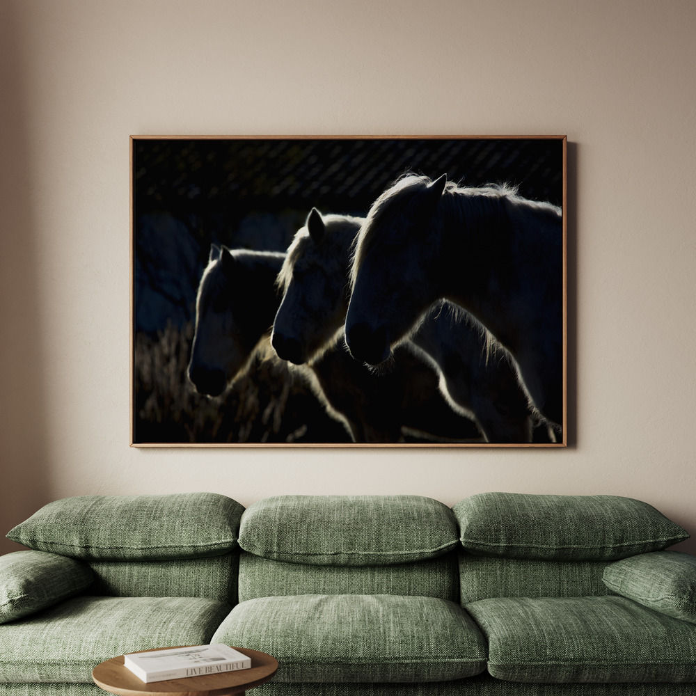 Canvastavla Horses (colored version) - Tavla - 100x70