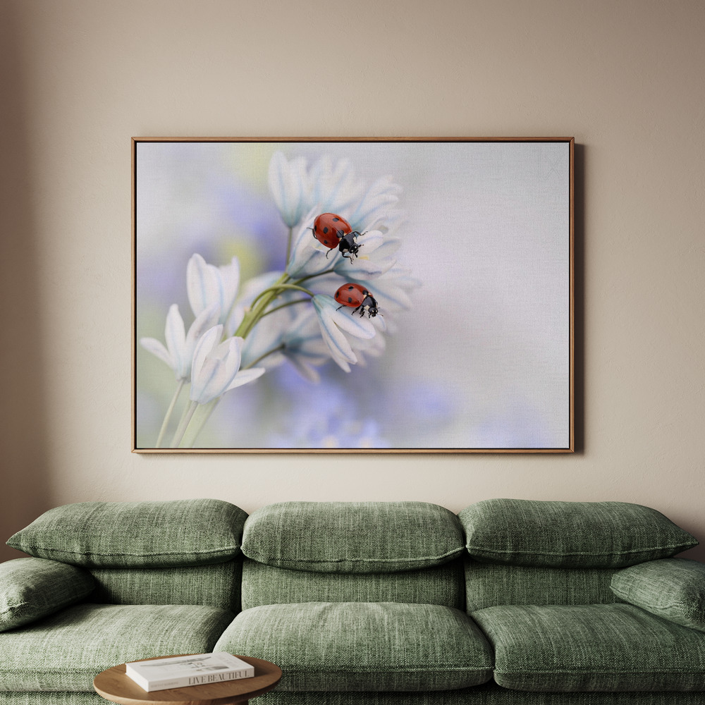 Canvastavla Ladybirds - Tavla - 100x70