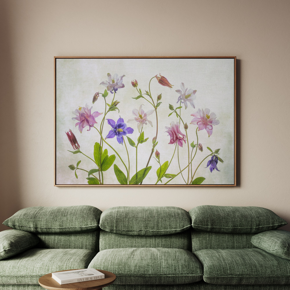 Canvastavla Columbine - Tavla - 70x50