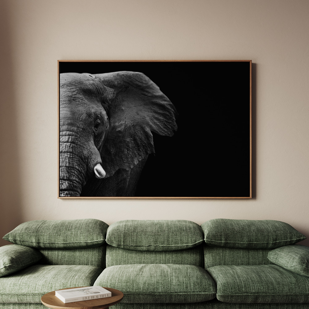 Canvastavla Elephant - Tavla - 70x50