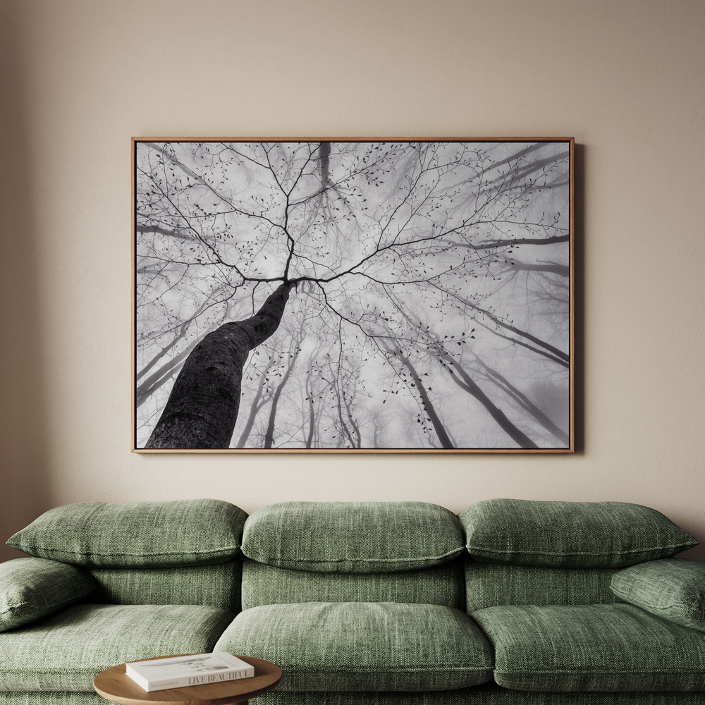 Canvastavla A view of the tree crown - Tavla - 100x70