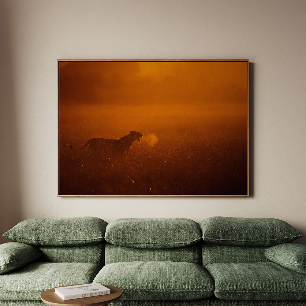 Canvastavla Puff - Tavla - 70x50