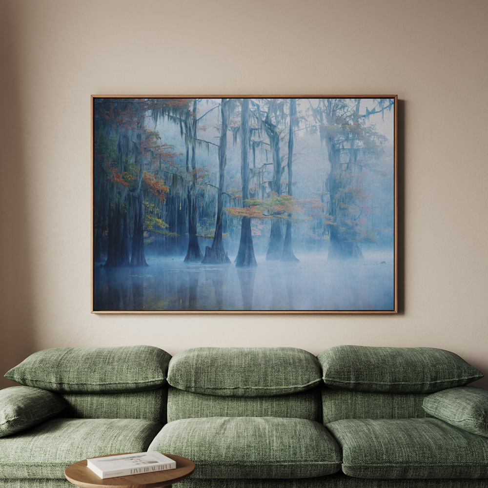 Canvastavla Foggy Swamp Morning - Tavla - 70x50