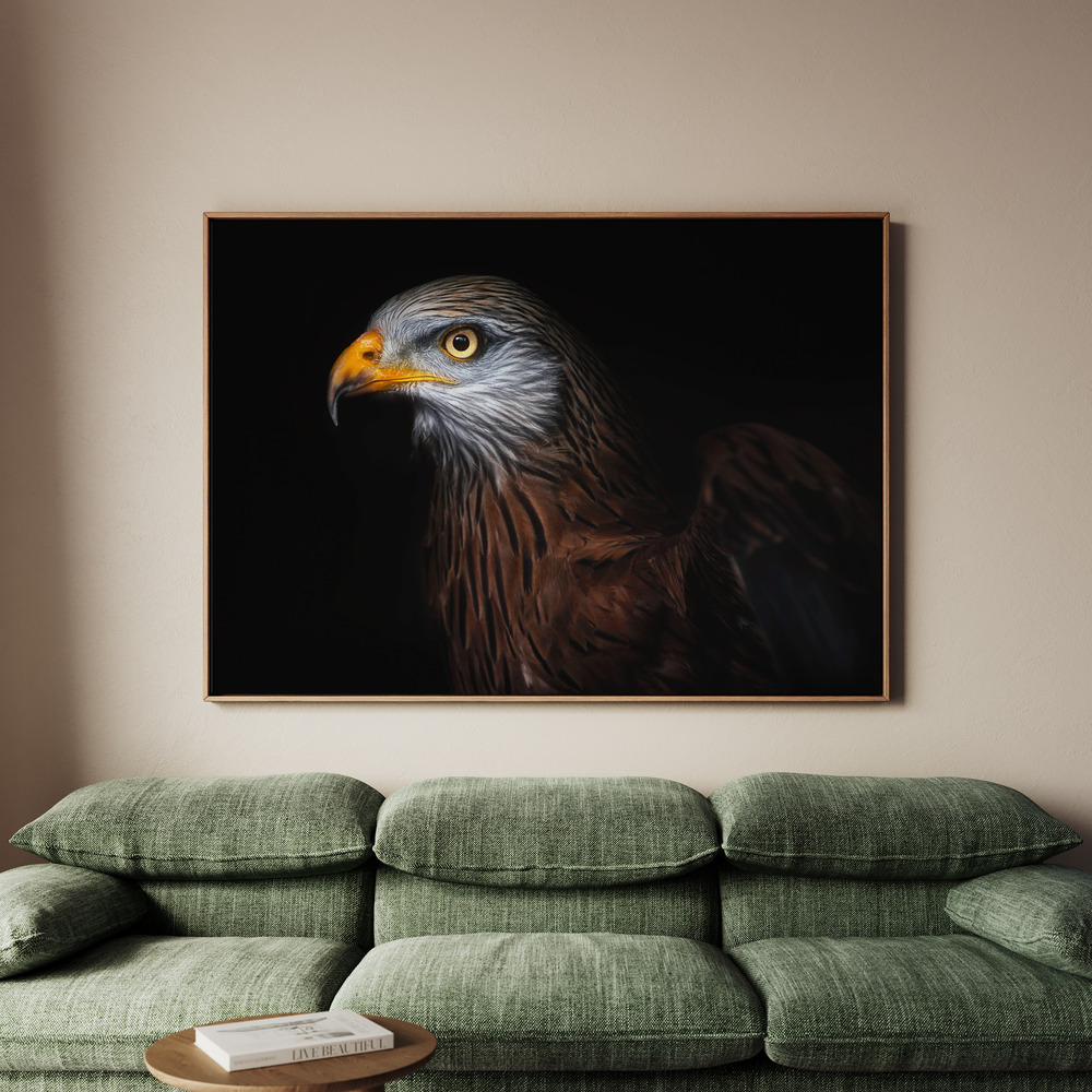 Canvastavla Red kite portrait II - Tavla - 70x50