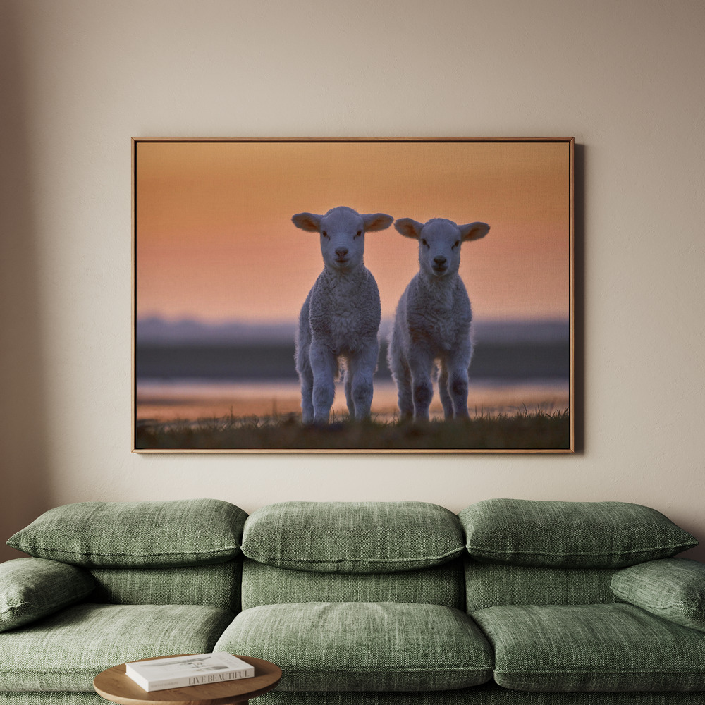 Canvastavla Lamb Twins - Tavla - 100x70