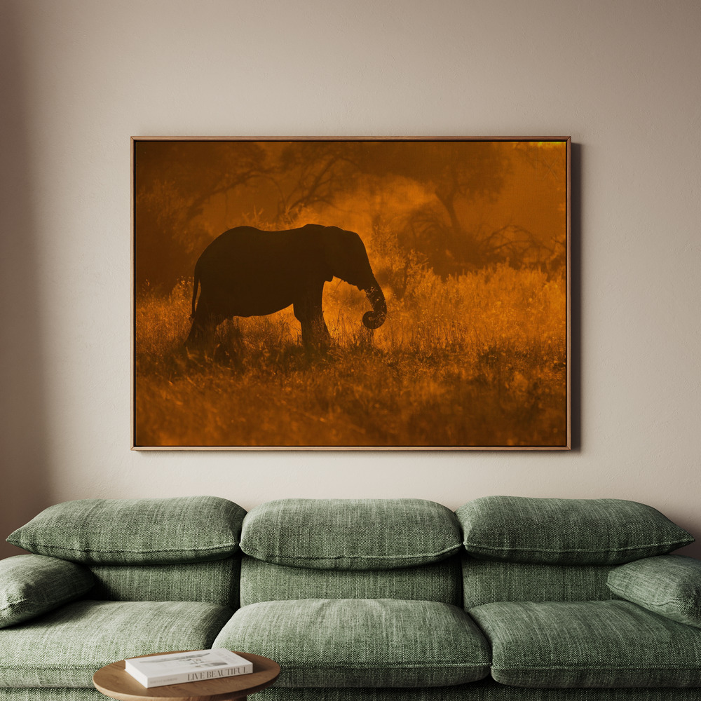 Canvastavla Golden Elephant in Savute - Tavla - 150x100