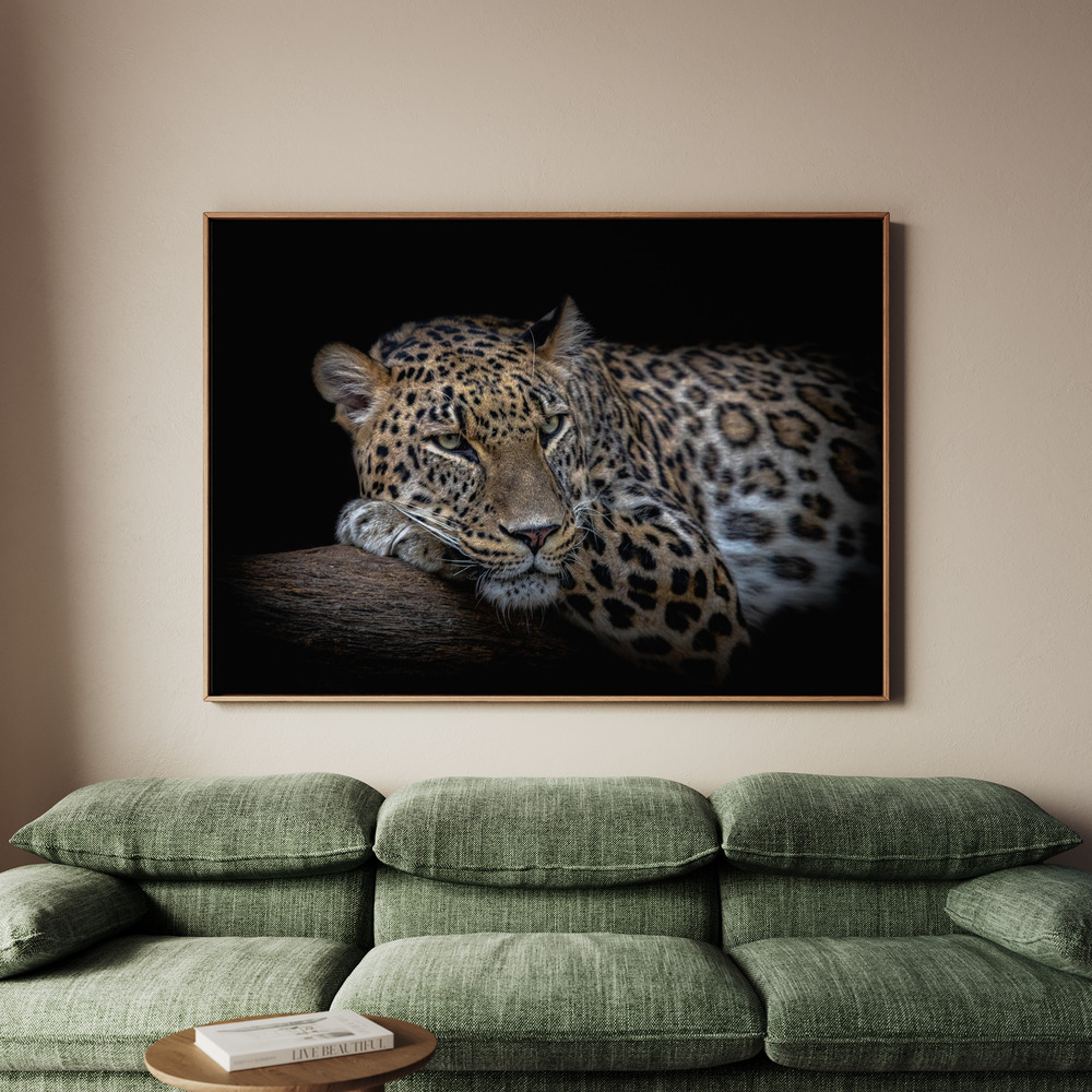 Canvastavla Leopard resting - Tavla - 100x70