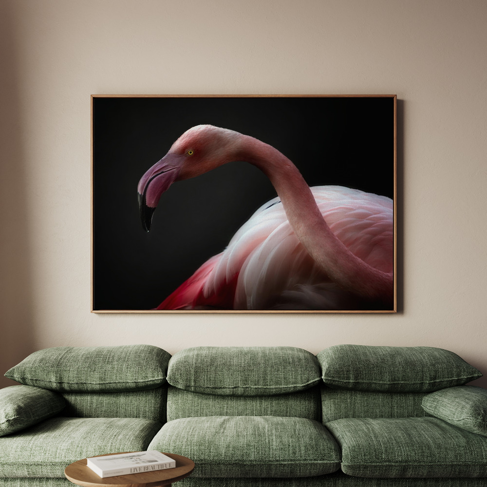 Canvastavla Flamingo portrait - Tavla - 70x50