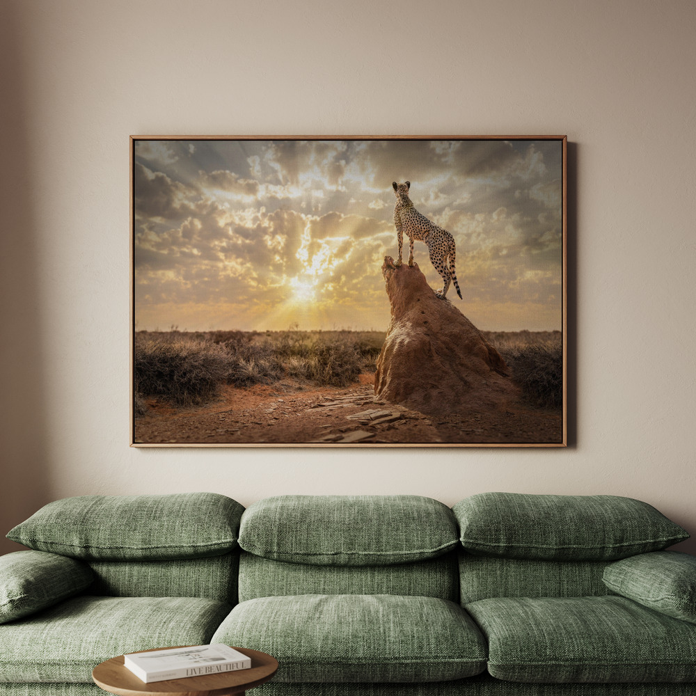 Canvastavla SundownCheetah - Tavla - 100x70