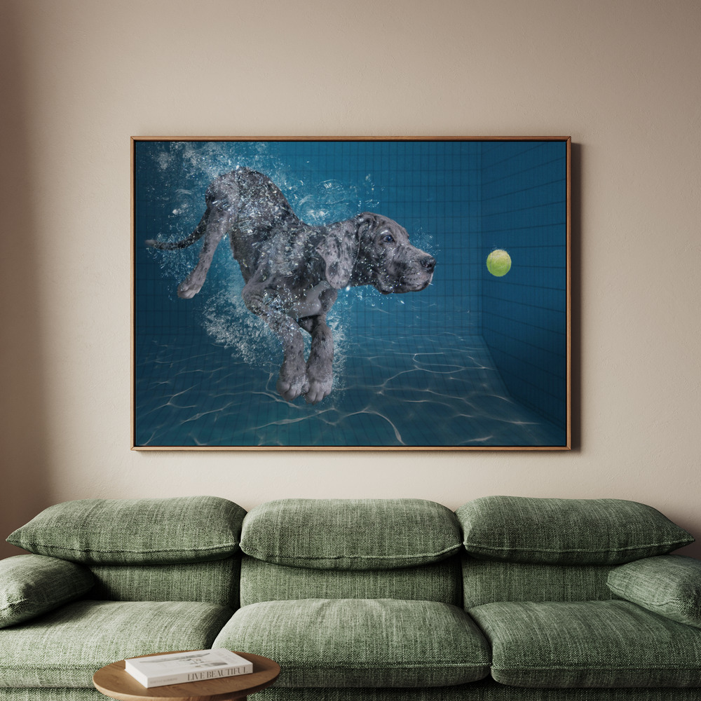 Canvastavla SplashDog - Tavla - 150x100