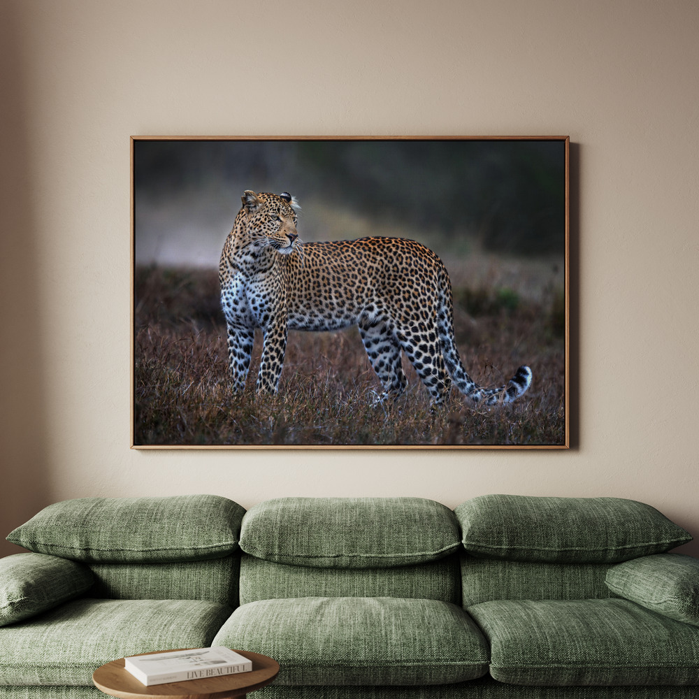 Canvastavla Leopard on the prowl - Tavla - 100x70