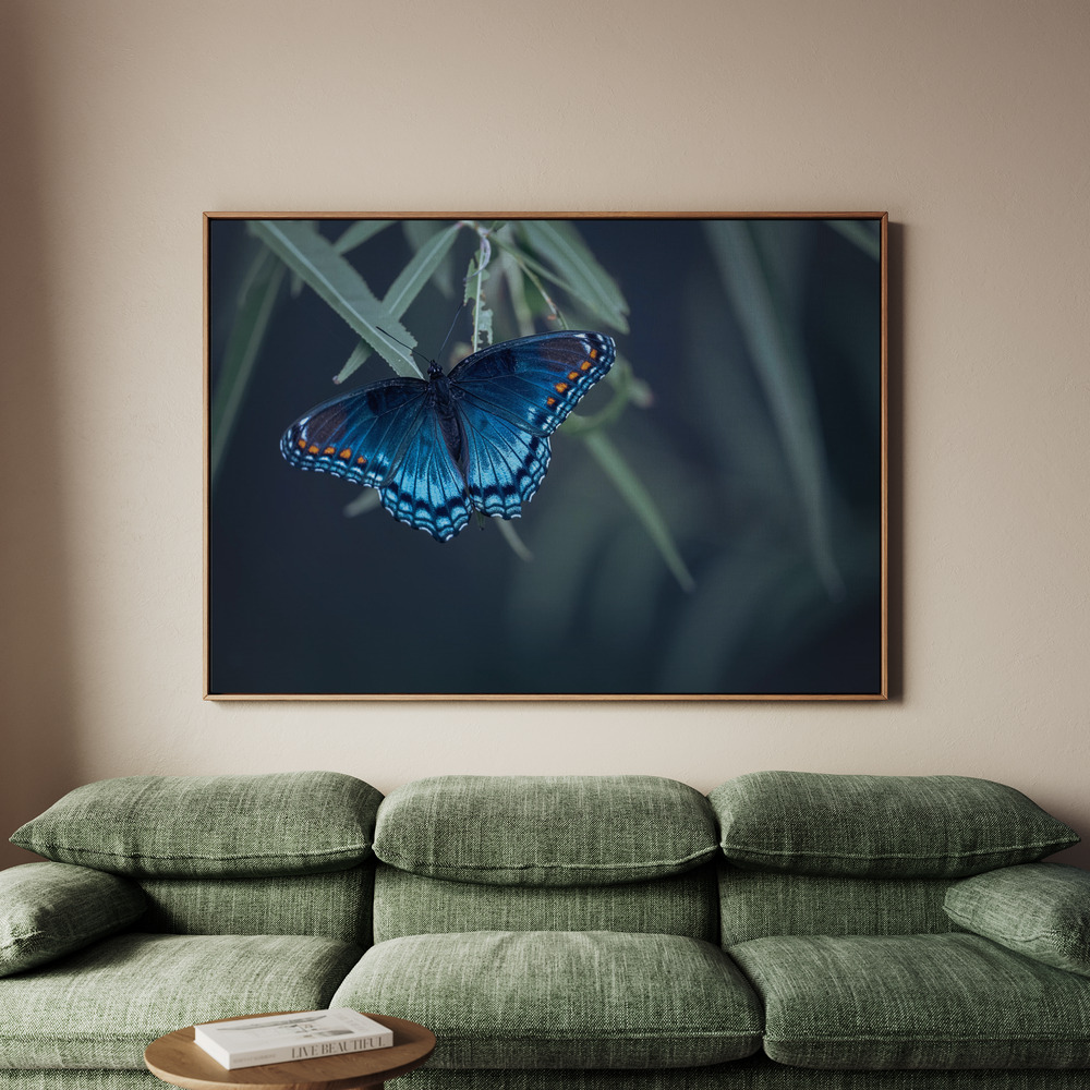 Canvastavla Butterfly - Tavla - 100x70