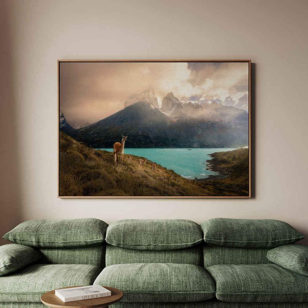 Canvastavla Alpaca at Torres del Paine II - Tavla - 100x70