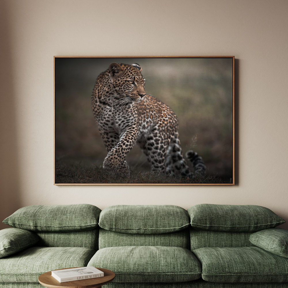 Canvastavla Surprise - Tavla - 100x70