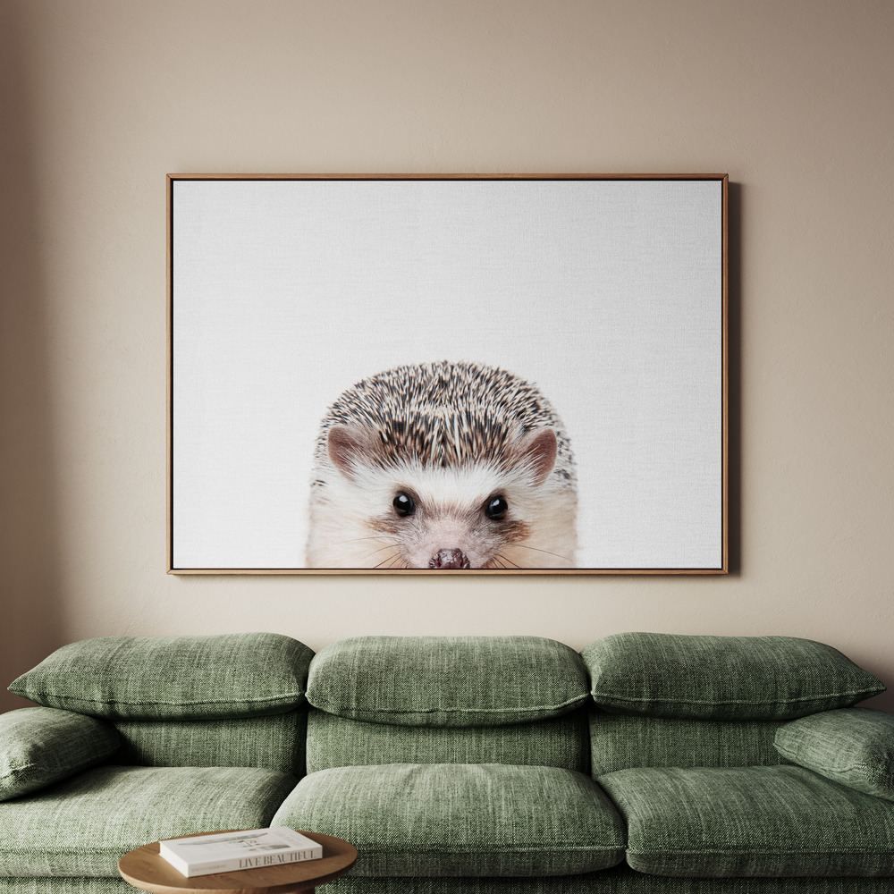 Canvastavla Peeking Hedgehog - Tavla - 70x50