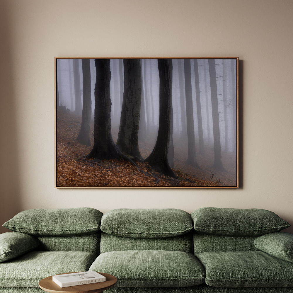 Canvastavla In the misty forest - Tavla - 100x70