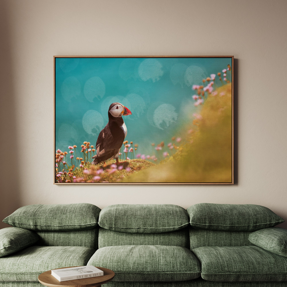 Canvastavla Atlantic puffin (Fratercula arctica) - Tavla - 100x70