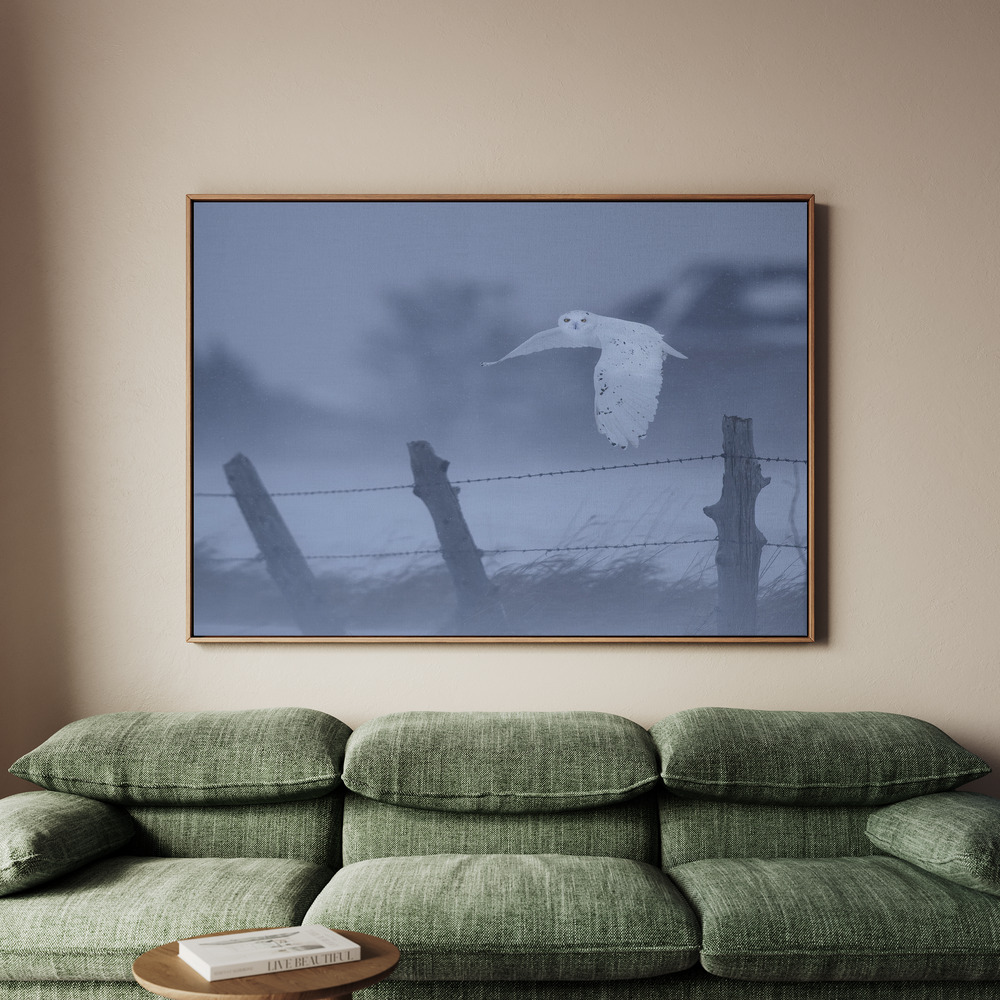 Canvastavla in the snow storm - Tavla - 100x70