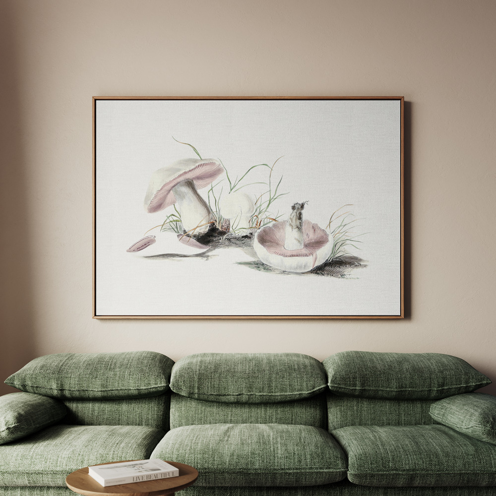 Canvastavla Hand Drawn Field Mushroom - Tavla - 150x100