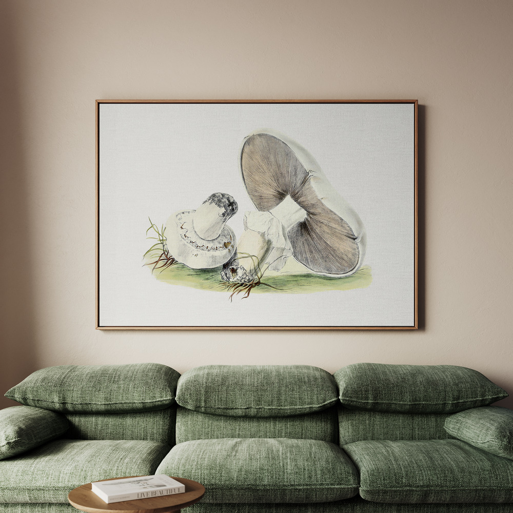 Canvastavla Hand Drawn Horse Mushroom - Tavla - 150x100