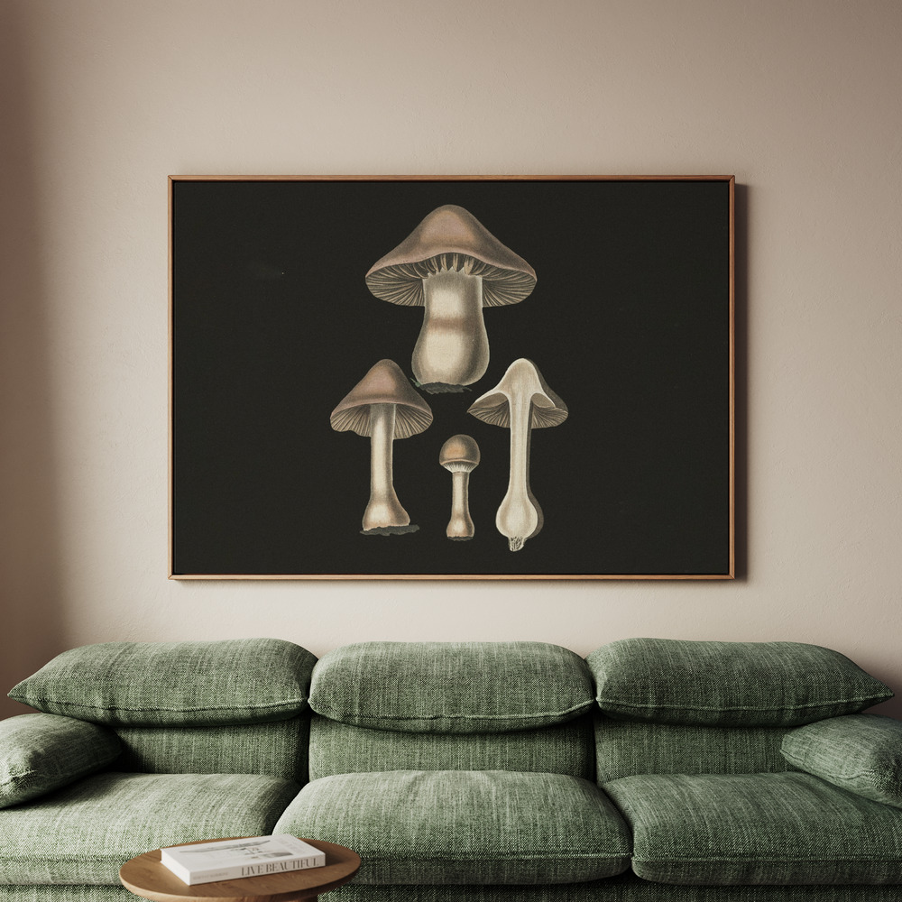 Canvastavla Agaricus Bulbosus Dark Background - Tavla - 100x70