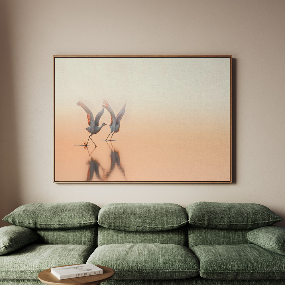 Canvastavla Crane Dance - Tavla - 70x50