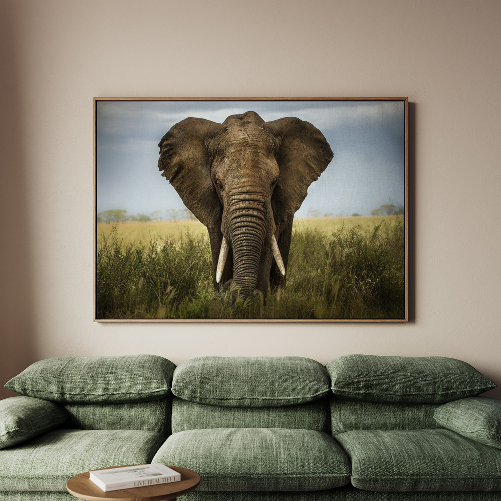 Canvastavla Encounters in Serengeti - Tavla - 70x50