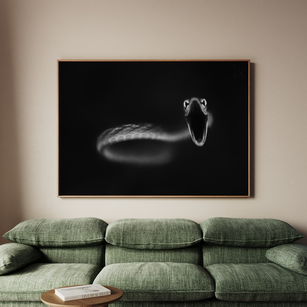 Canvastavla Vine Snake Strike - Tavla - 100x70