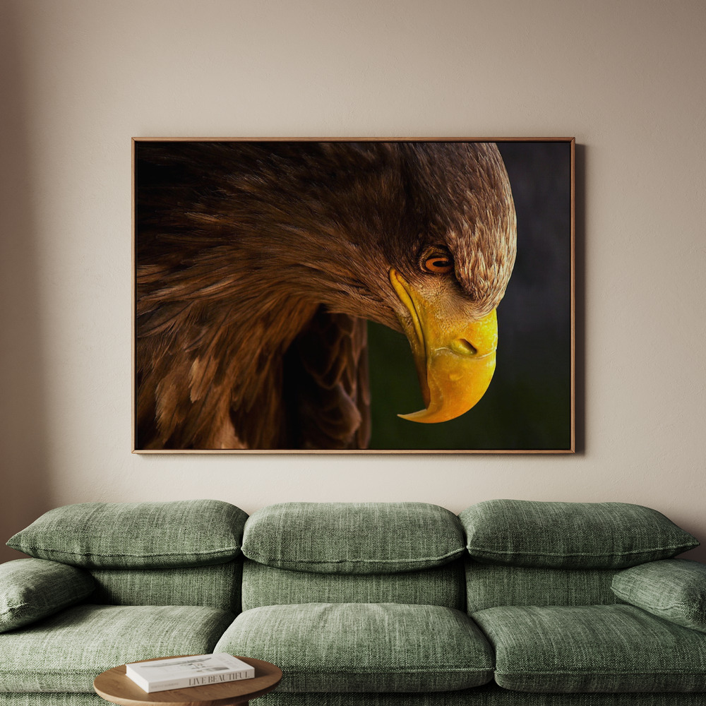 Canvastavla Eagle pursues prey - Tavla - 70x50