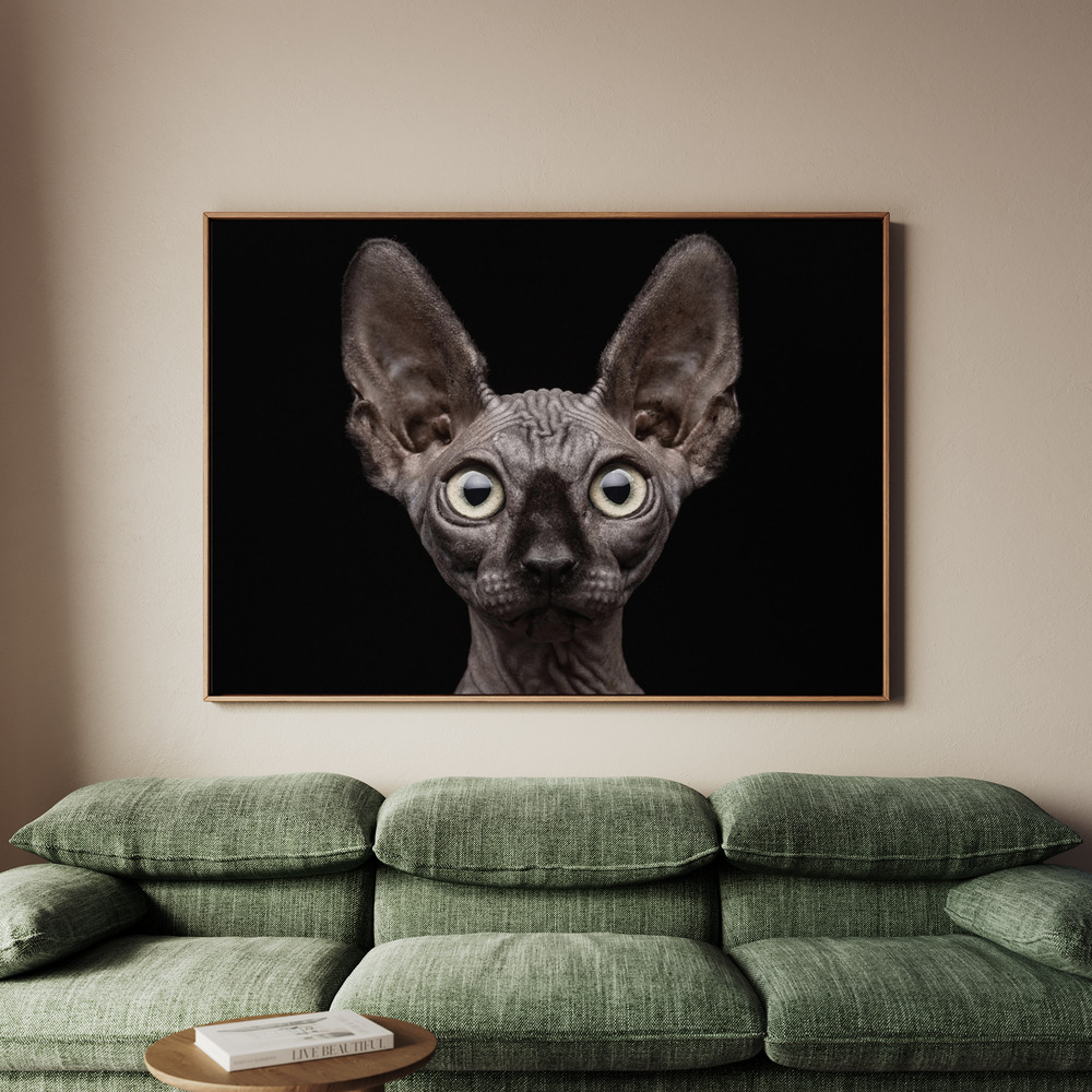 Canvastavla Sphynx Cat - Tavla - 150x100