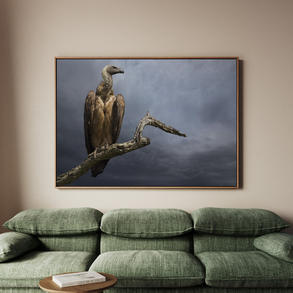 Canvastavla The Vulture - Tavla - 100x70