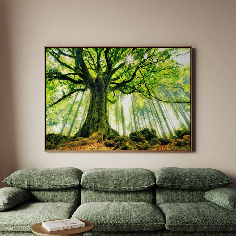 Canvastavla Ponthus' Beech - Tavla - 70x50