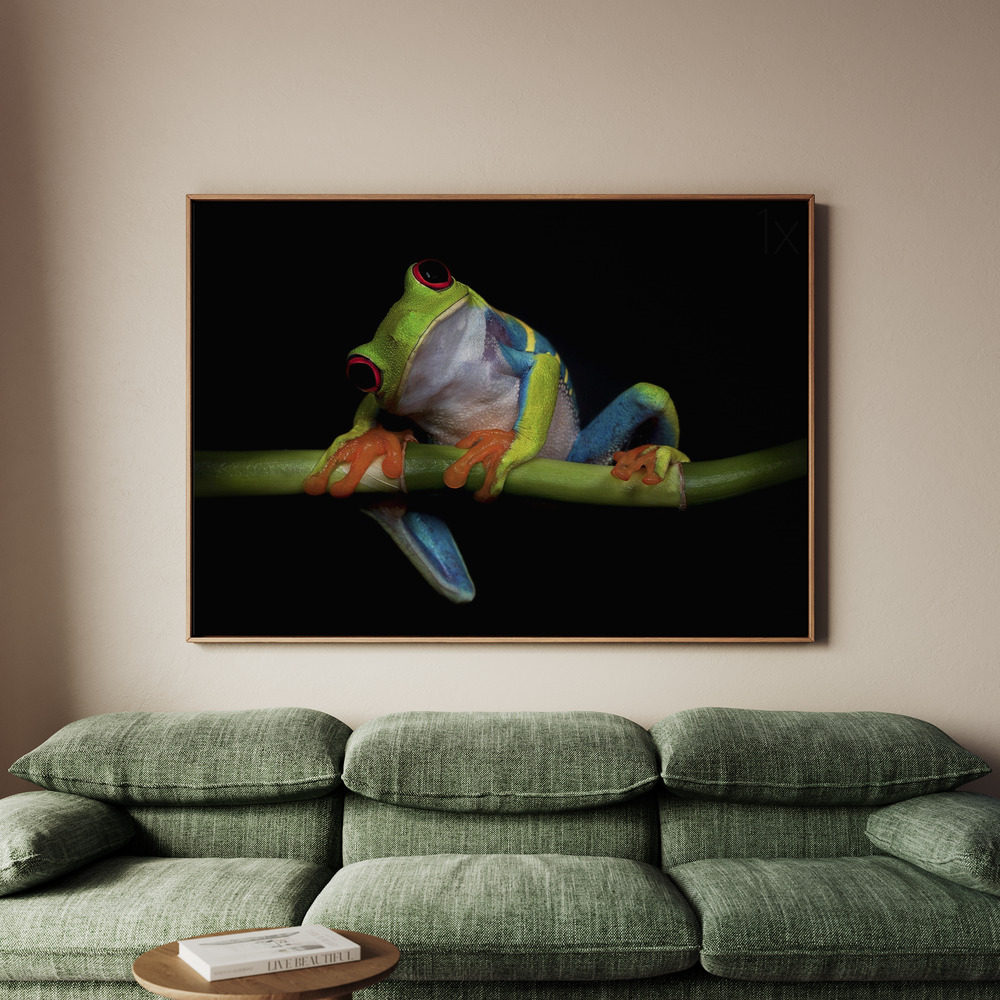 Canvastavla Curiosity - Tavla - 70x50