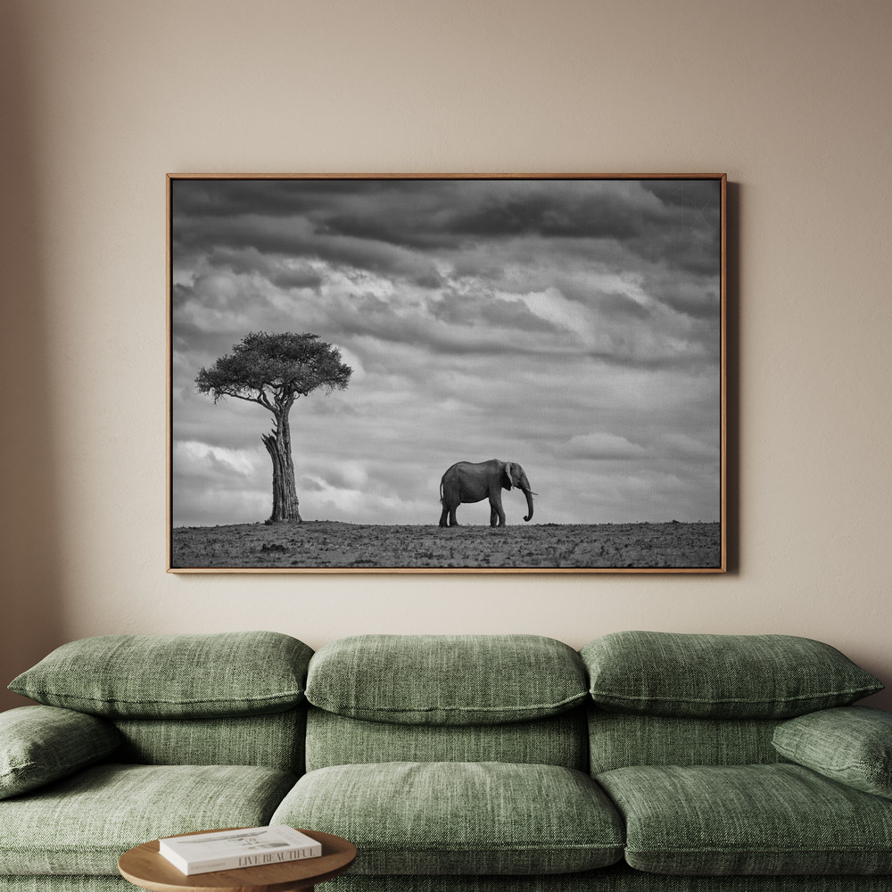 Canvastavla Elephant Landscape - Tavla - 70x50
