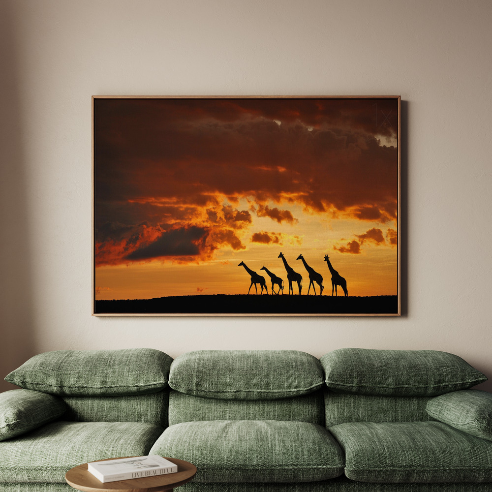 Canvastavla Five Giraffes - Tavla - 70x50