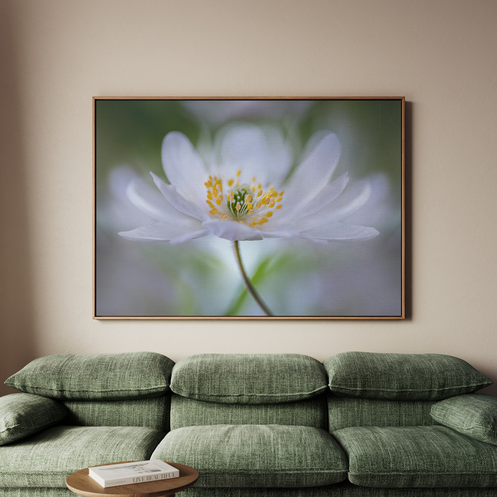 Canvastavla Nemorosa Nirvana - Tavla - 70x50