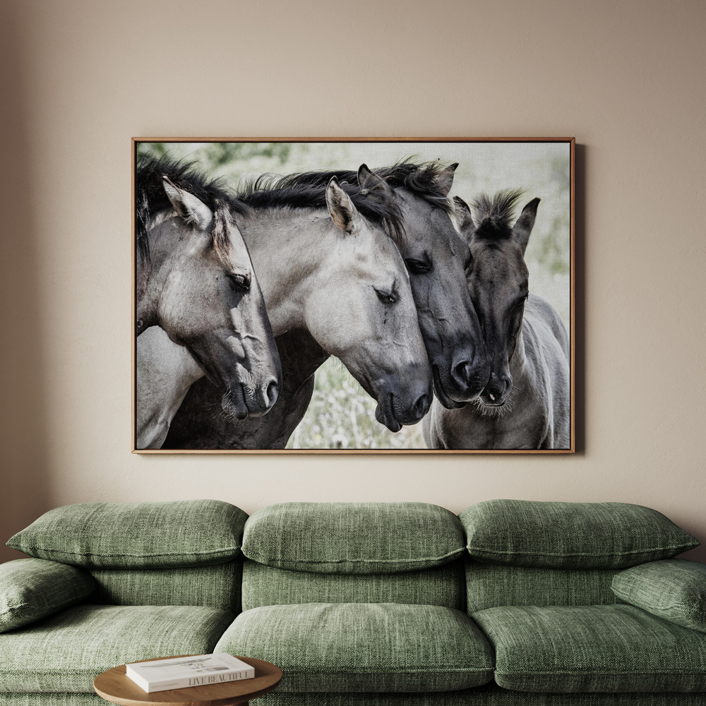 Canvastavla Four Konik Horses - Tavla - 70x50