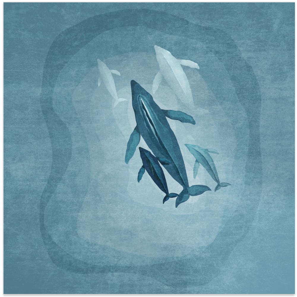 Poster - Whale Serenade square poster