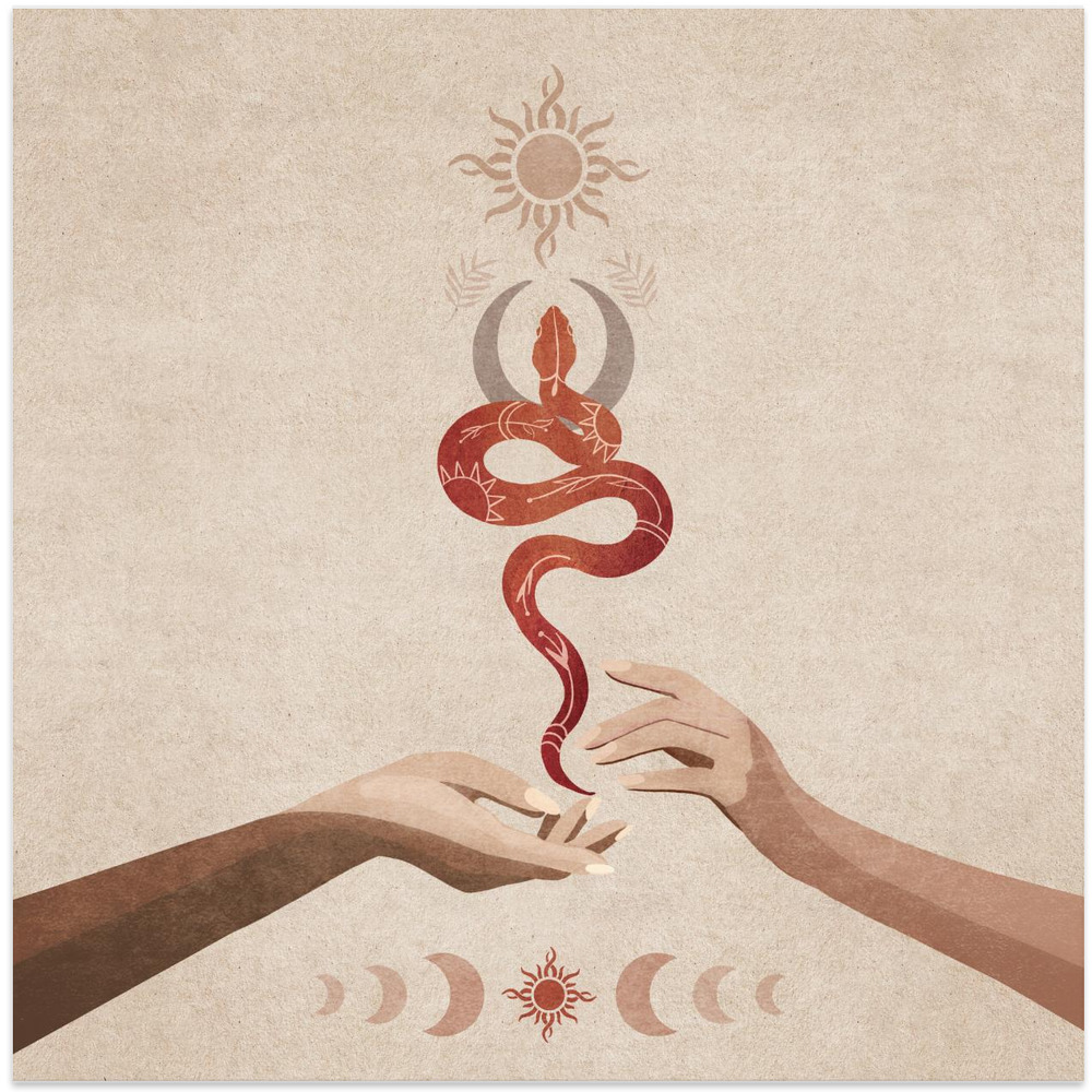 Juliste - Serpent Harmony square poster