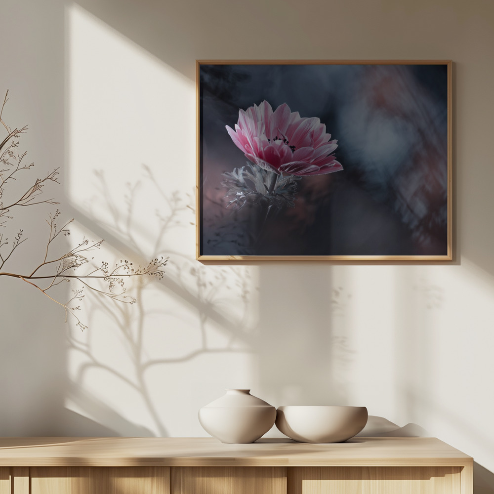Poster AnEmone - Affisch över skåp