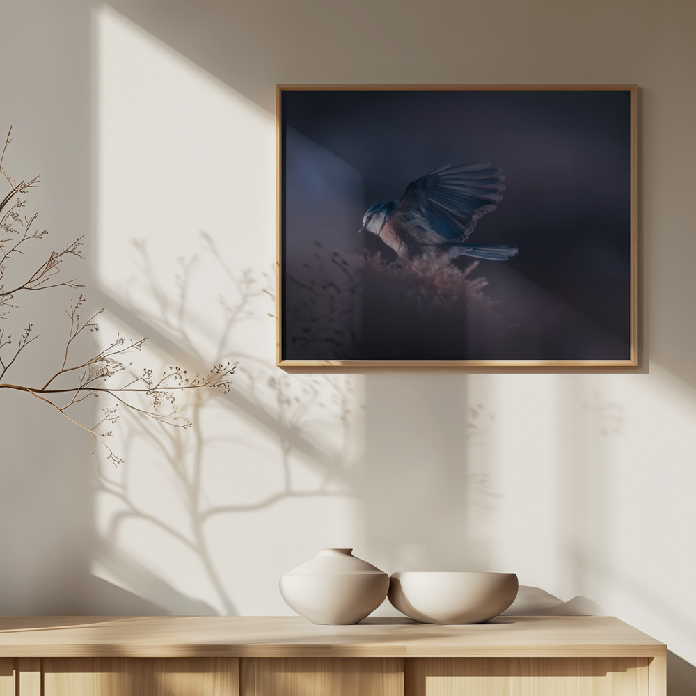 Affiche - A bird world VIII au-dessus de l'armoire