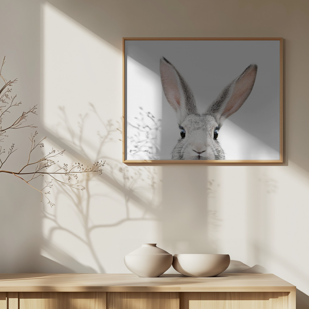 Plakat - Peeking Bunny over skab