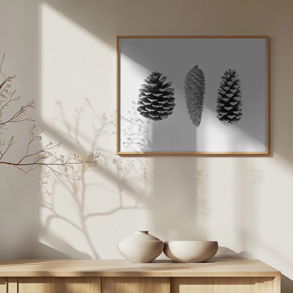 Plakat - Pine Cone Study over skab