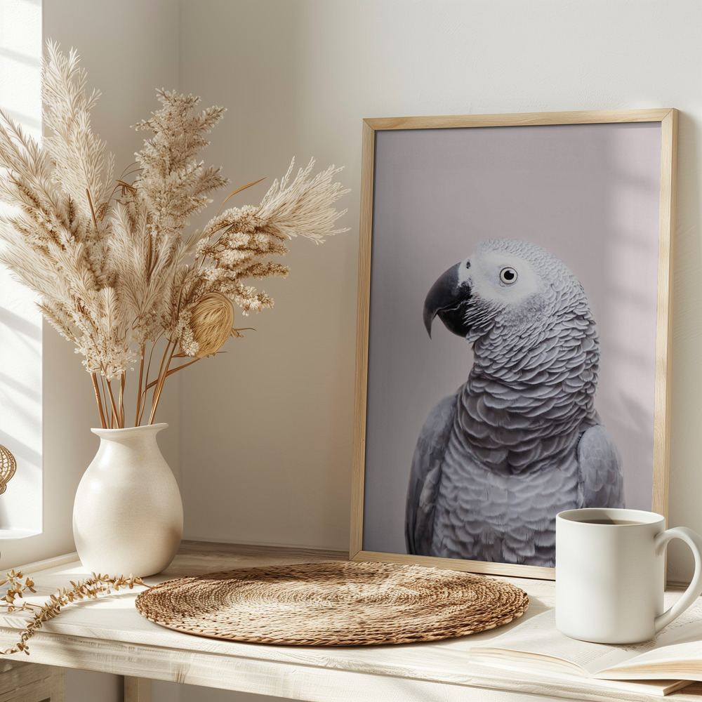 Poster - African Grey on table